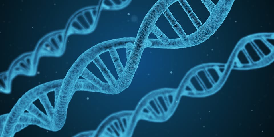This Blockchain Pilot Could Treat Fungal Diseases