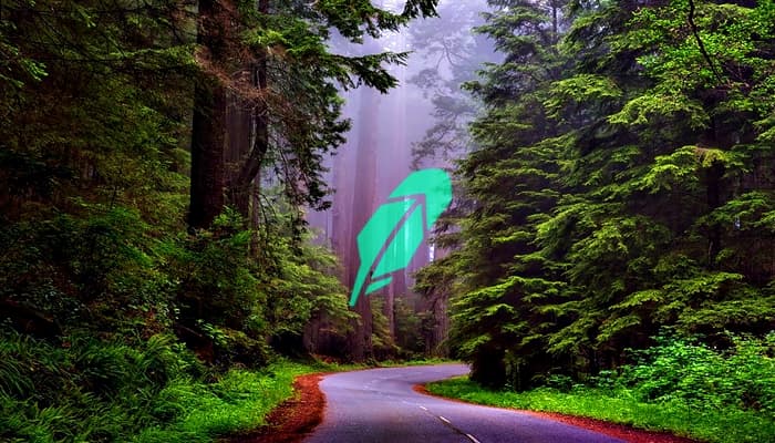 Robinhood App is Now Offering Support for a Famous Cryptocurrency