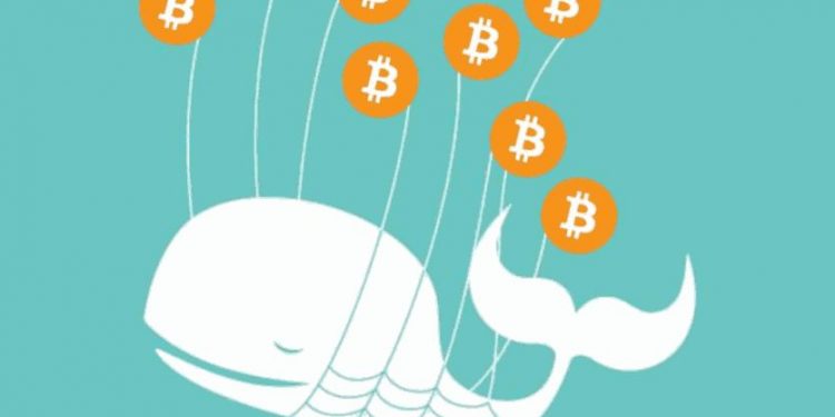Bitcoin Whale Li Xiaolai