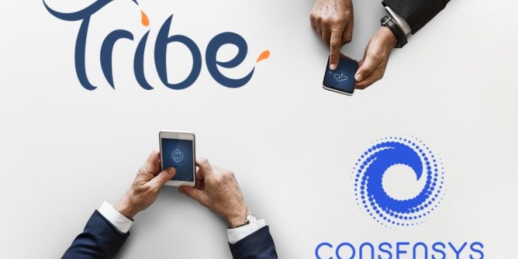 Tribe Accelerator ConsenSys