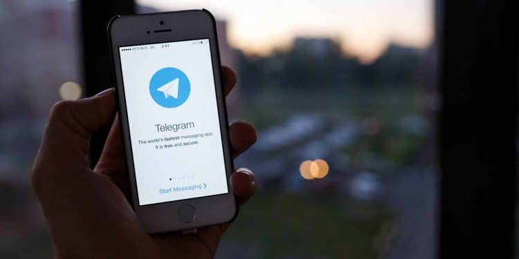 Telegram cryptocurrency channels