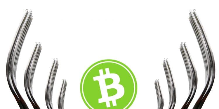 Bitcoin Cash Fork