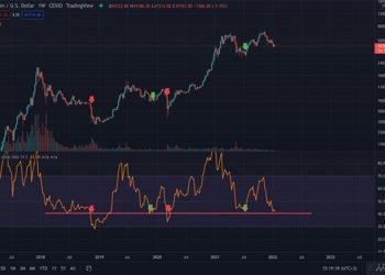 Bitcoin Will Grow or Fall