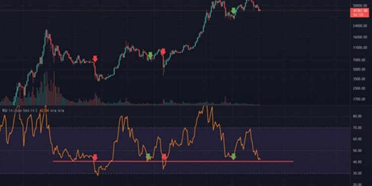 Bitcoin Will Grow or Fall