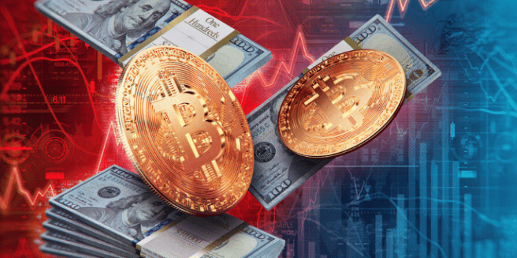 Best crypto wallet