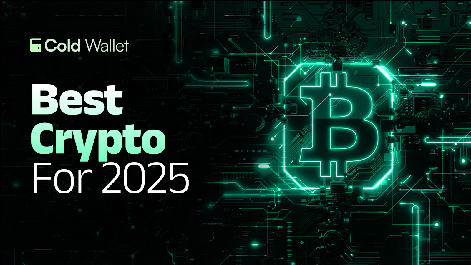 PEPE Eyes 7,220% Surge, ADA Targets $7.09 in Bull Run, Spotlight Turns to the Best Crypto Performer: Cold Wallet