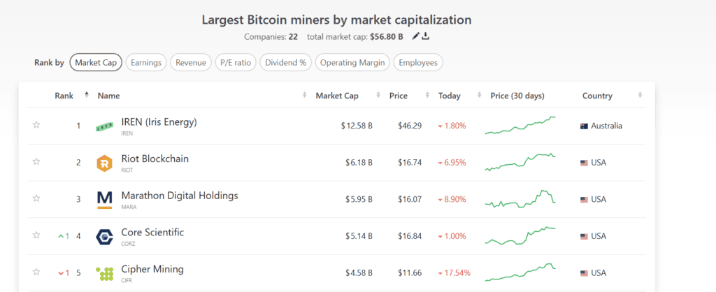 Top 5 Bitcoin Mining Companies: Market Cap, Performance, and Global Impact