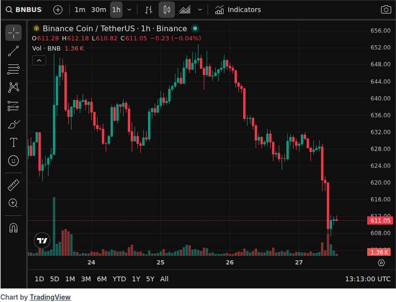CoinGecko price chart showing BNB market data and price context